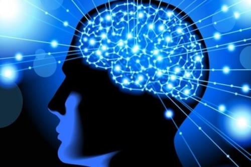 زیست بوم تجهیزات و ابزارهای شناختی ایجاد می شود