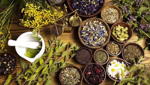 ۵ طرح توسعه کلکسیون گیاهان دارویی اجرایی شد