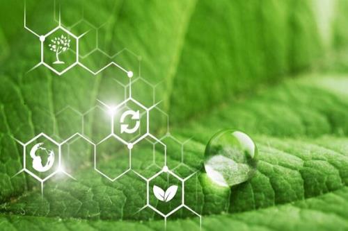 تهیه نانومواد بر پایه شیمی سبز برای کمک به تشخیص سرطان
