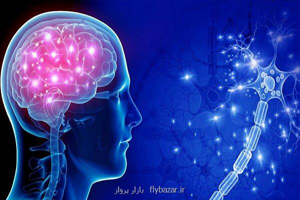 طراحی سامانه تحریک عمقی مغز بومی ممانعت از ارزبری ۴میلیون دلاری