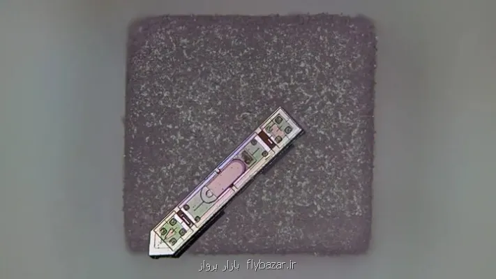 قدرت خواندن ذهن بوسیله یک دانه نمک!