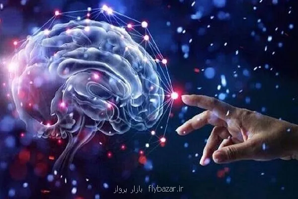 تقویت دیپلماسی علمی با اجرای پروژه های مشترک تحقیقاتی حوزه شناختی