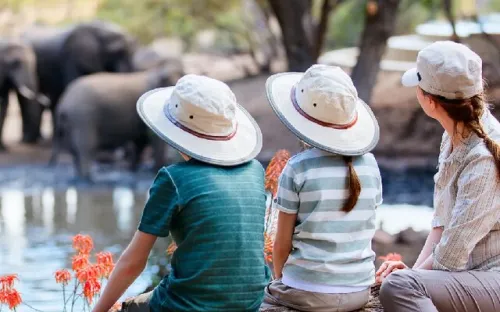 آفریقا پیشتاز شد اروپا به صدر آمد