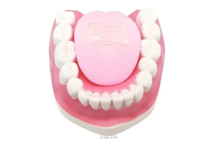 زبان مصنوعی تندی غذا را می سنجد