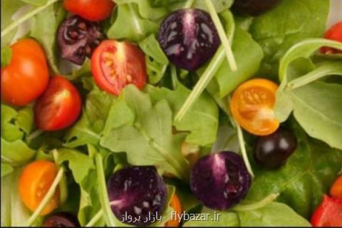 تركیه پژوهش روی محصولات تراریخته را توسعه می دهد