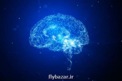 رتبه اول ایران در منطقه در تولید مقالات علوم اعصاب
