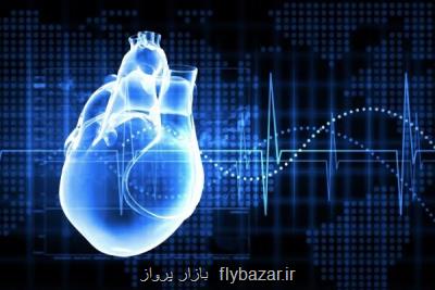 سازمان ملل در پشتیبانی از فلسطینی ها در مقابل تروریسم اسرائیلی ناكام ماند