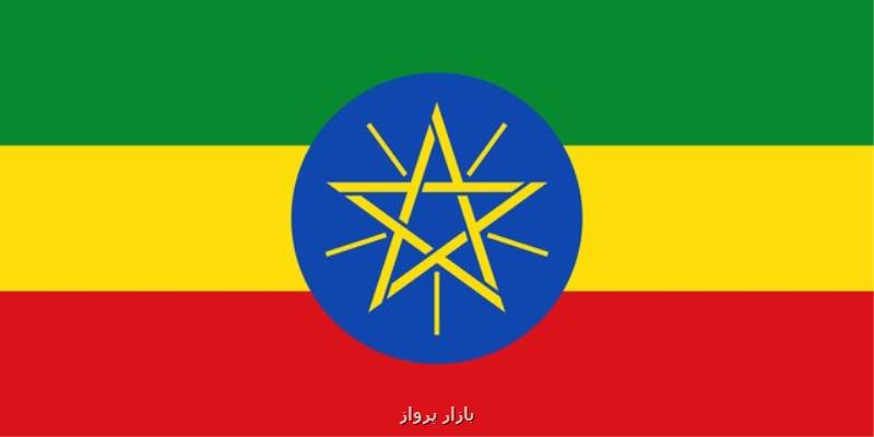 موافقت پارلمان اتیوپی با تشكیل دولت موقت در ایالت تیگرای
