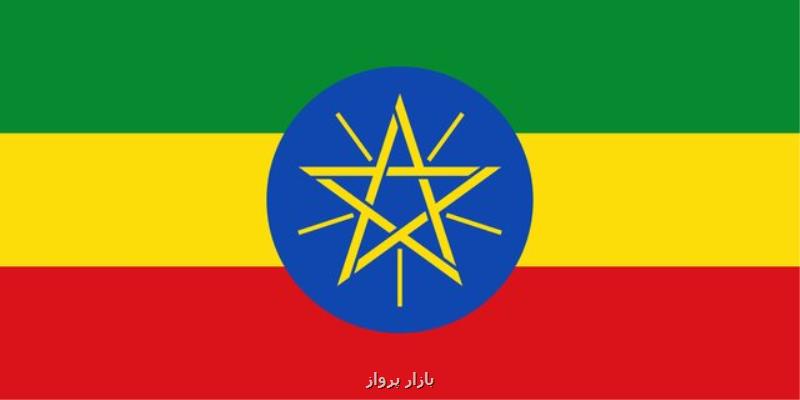 موافقت پارلمان اتیوپی با تشكیل دولت موقت در ایالت تیگرای